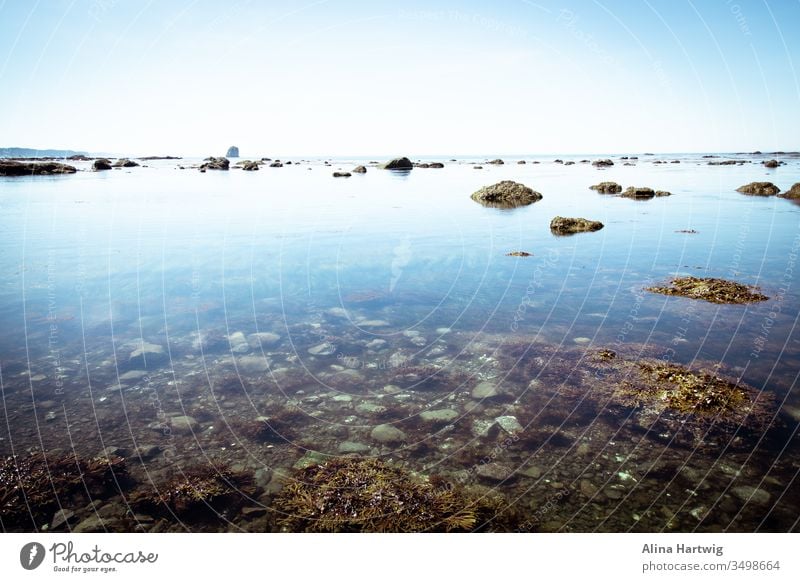 Wunderschöne blaue Pazifikküste Küste Meer pazifik Strand Küstenlinie Horizont Himmel Sonne Sonnenlicht sonnig Sommer reisen Landschaft Natur Wasser Steine