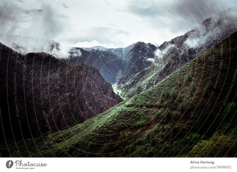 Dunkelschwarze Schlucht im Morgennebel Nebel Schwarze Schlucht Berge Fluss Hügel Wolken Himmel reisen Landschaft Natur erkunden wandern Colorado grün blau