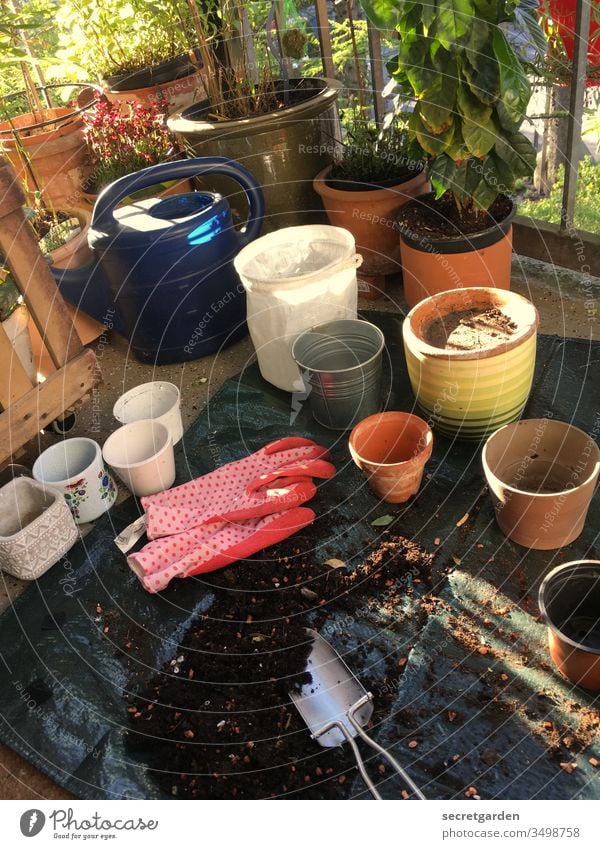 die neuen roten Gartenhandschuhe und Töpfe warten auf dem Balkon. Natur Blume Pflanze Außenaufnahme Farbfoto Menschenleer Sommer Blühend Frühling Nahaufnahme