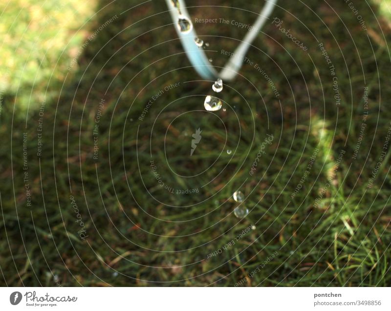 Wassertropfen und Wasserstrahl aus Gießkanne fallen auf Gras Grün gras gartenarbeit gießen sommer wasser nass wassertropfen wasserstrahl natur wiese pflanzen