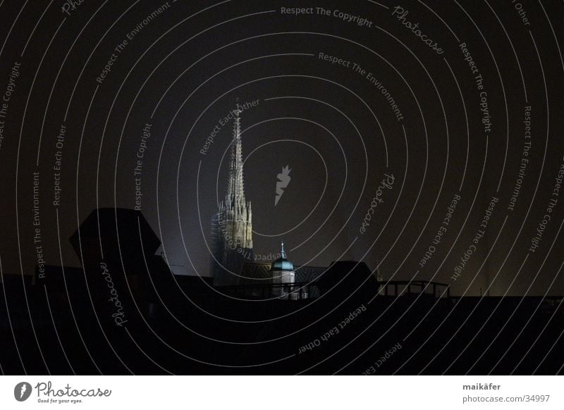 Nächtlicher "Steffl" Nacht Nachtaufnahme Stephansdom Wien Langzeitbelichtung Ferien & Urlaub & Reisen Dach historisch Atmosphere romatisch Blick aus dem Fenster