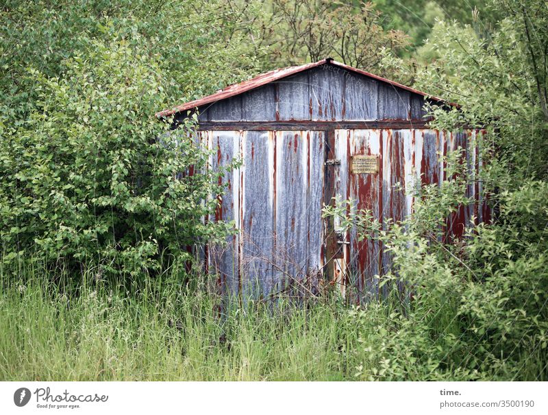 Garagenstellplatz, günstig (notwendige Rodungen bitte selbst vornehmen) garage holz hütte verschlossen natur gras sträucher zugewachsen versteckt haus gebäude