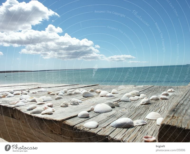 Meer Ferien & Urlaub & Reisen Strand Muschel Einsamkeit Himmel