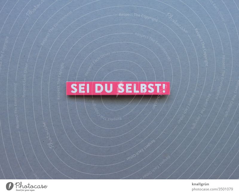 Sei du selbst! authentisch Gefühle Mensch Selbst Individuell Buchstaben Wort Satz Schriftzeichen Text Sprache Lateinisches Alphabet Typographie Letter