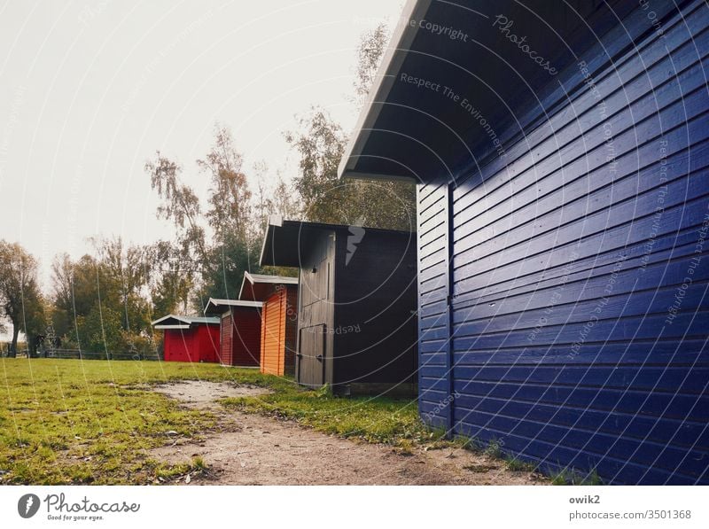 Häuserzeile Hütten Reihe Holz Holzhaus mehrfarbig bunt blau rot orange Bäume Himmel Wiese geschlossen menschenleer Außenaufnahme Natur glänzend einfach rustikal