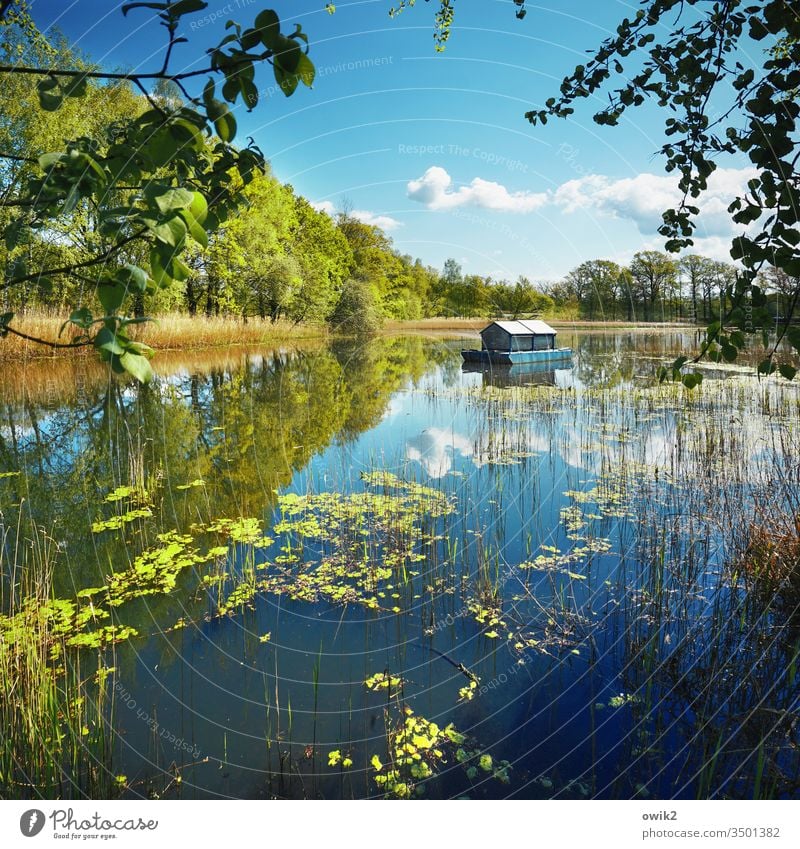 Hausboot Natur draußen Außenaufnahme Idylle Ruhe Weite See Reflexion & Spiegelung Wasser Wasserfahrzeug Wasseroberfläche Spiegelsee Bäume Wasserpflanze Himmel