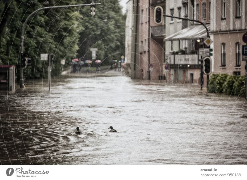 Land unter Passau Stadt Stadtzentrum Altstadt Fabrik Wahrzeichen Verkehrswege Personenverkehr Straßenverkehr Autofahren Fußgänger Straßenkreuzung Desaster