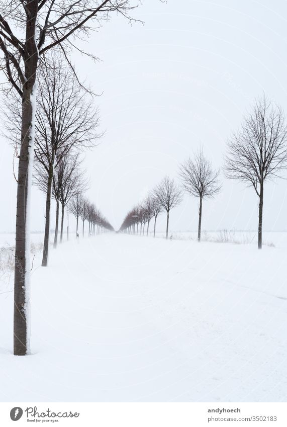 Schneeverwehungen auf der Landstraße nach Wintereinbruch Asphalt Atmosphäre Hintergrund schön blau Niederlassungen PKW Zentrum chaotisch kalt Textfreiraum Tag