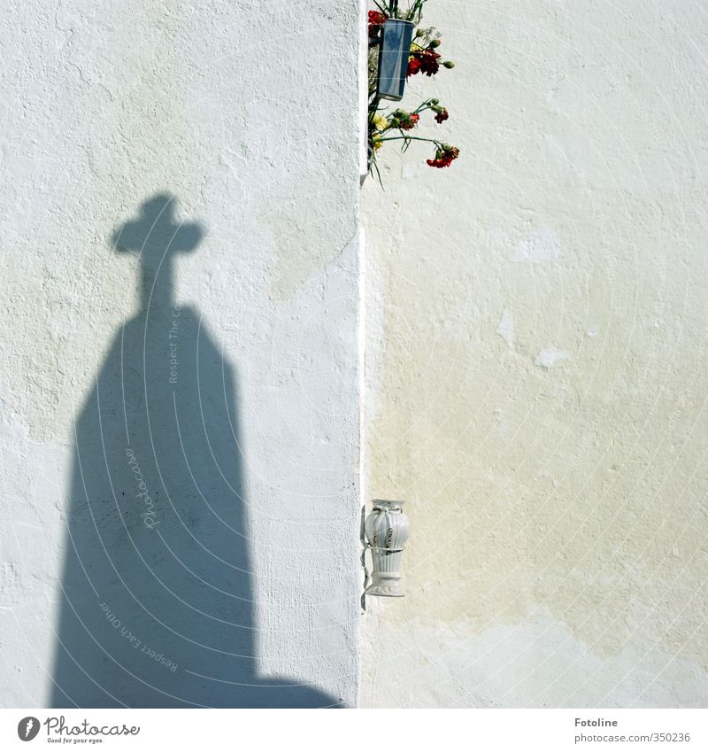 Licht und Schatten Blume Blüte hell schwarz weiß Friedhof Christliches Kreuz Grabstein Grabmal Farbfoto Außenaufnahme Menschenleer Tag Sonnenlicht