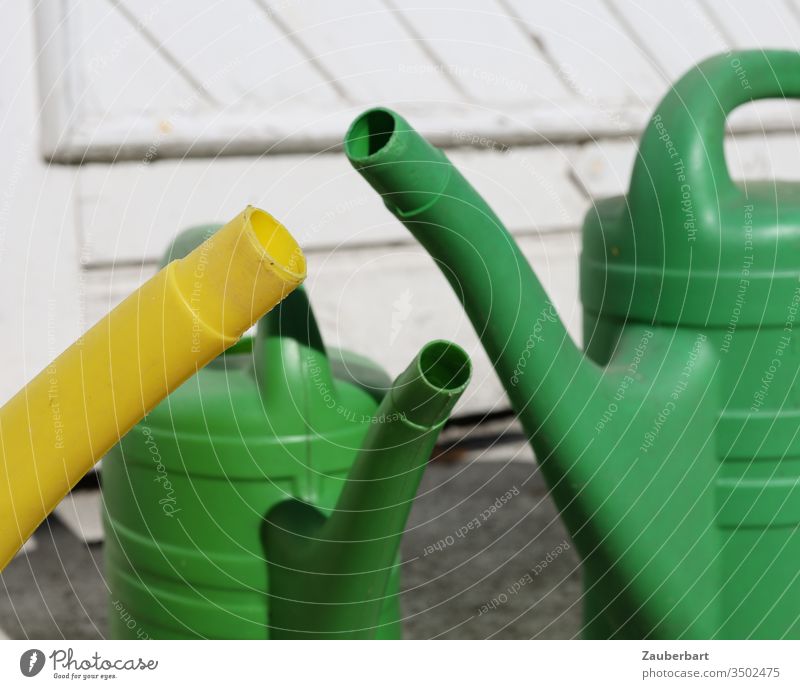 Drei Gießkannen im Gespräch Tülle Garten Wasser gießen grün gelb Gruppe Treffen Gartenarbeit Tür Gärtner Frühling