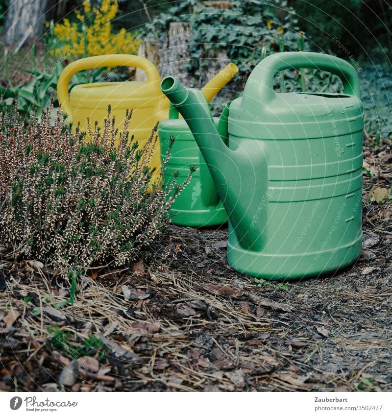 Drei Gießkannen im Gänsemarsch auf ihrem Weg durch den Garten Tülle Heide Heidekraut Spaziergang Gruppe Wasser gießen Gartenarbeit Gärtner Kannen