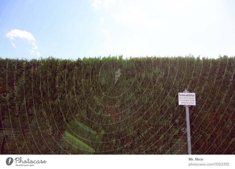 Parkverbot Hecke parken verboten Hinweisschild Verkehrsschild Gegenlicht Himmel Schilder & Markierungen Verbote Einschränkung Halteverbot grün Sträucher