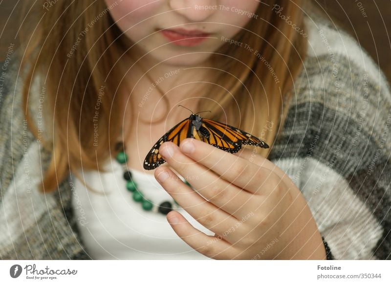 He du! Mensch feminin Kind Mädchen Haut Kopf Haare & Frisuren Gesicht Nase Mund Lippen Hand Finger Umwelt Natur Tier Schmetterling 1 nah natürlich Farbfoto