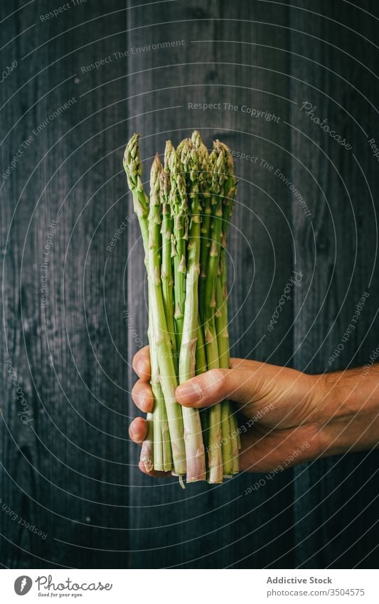 Erntehelfer mit einem Bündel frischem Spargel Person Gesundheit grün Diät zeigen Wand Blatt hölzern organisch Vegetarier Vitamin Nutzholz schwarz Holz