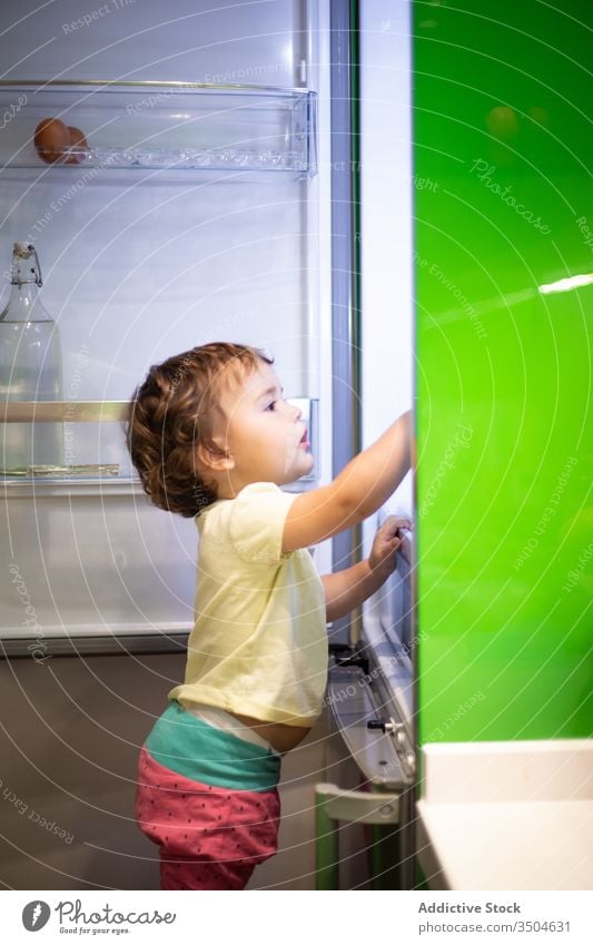 Kleinkind stiehlt Essen in der Küche Kühlschrank Lebensmittel Suche stehlen Snack offen heimwärts Hocker stehen Kind wenig niedlich Mahlzeit modern Zeitgenosse