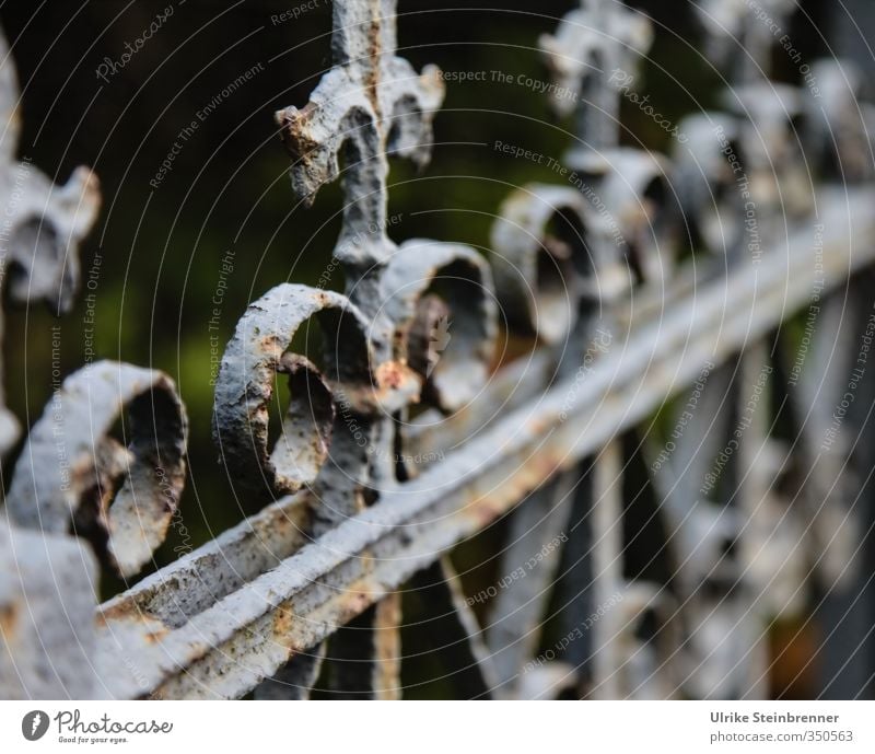 Baumaterial / Schmiedeeisen / AST 5 Brandenburg Garten Dekoration & Verzierung Metall alt stehen dunkel rund Spitze grau Schutz Symmetrie Trauer Trennung