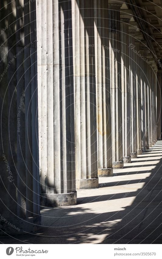 Säulen Struktur Gang Licht Schatten Marmor Linien Macht Geld Architektur grau Himmel Handwerk