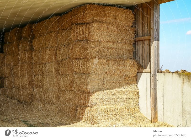 Stroh in Ballen unter einem Holzdach landwirtschaftlich Ackerbau Landschaft Bauernhof Ernte Heugarben Natur Saison Sommer Landwirtschaft Feld Lebensmittel gold