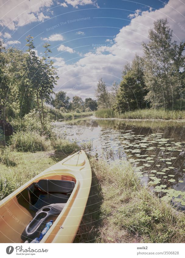 Nasse Landschaft Kanal Natur Fluss Farbfoto Menschenleer Wasser Außenaufnahme Reflexion & Spiegelung grün Sonnenlicht Sommer Himmel Tag Licht Baum Pflanze