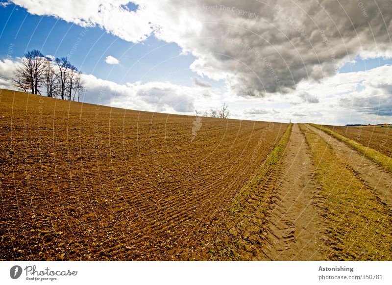 Acker Umwelt Natur Landschaft Pflanze Luft Himmel Wolken Gewitterwolken Horizont Sonne Herbst Wetter Schönes Wetter Wärme Baum Gras Wiese Feld Hügel