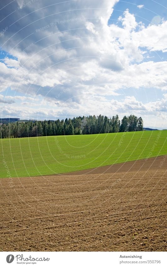 4 - Schichten - Landschaft Umwelt Natur Pflanze Himmel Wolken Gewitterwolken Horizont Frühling Wetter Schönes Wetter Wärme Baum Gras Wiese Feld Wald Hügel blau