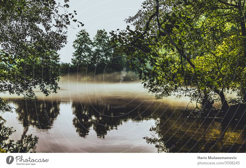 Morgendlicher Rauch auf dem Wasser landschaftlich reizvoller See mit Bäumen Herbst Hintergrund schön Schönheit blau gruselig Umwelt fallen Wald grün Landschaft