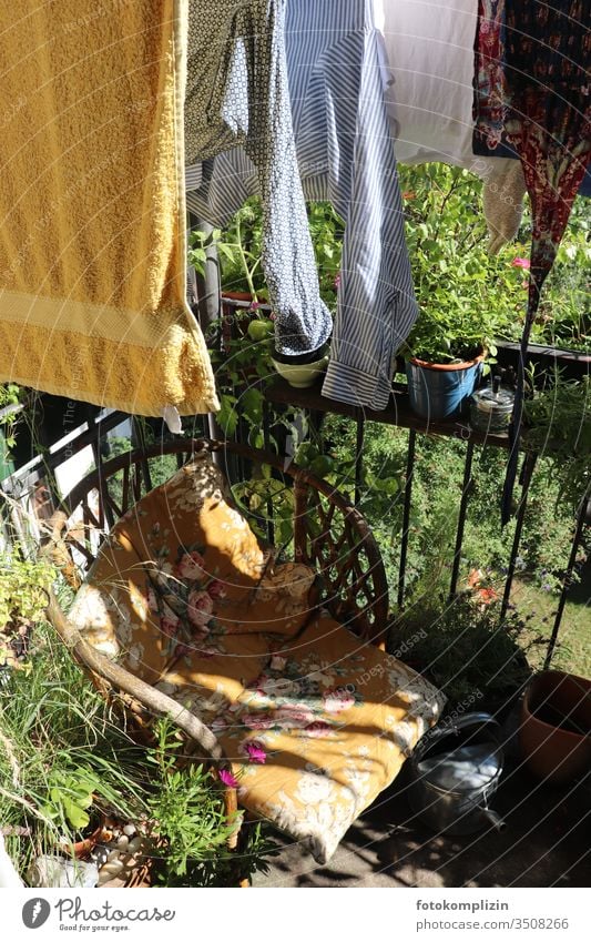 Korbstuhl und Wäscheleine zwischen Pflanzen auf Balkon zuhause Häusliches Leben Balkonidylle blumig Sitzkissen Balkonleben Balkonblumen Balkonstuhl Balkonien