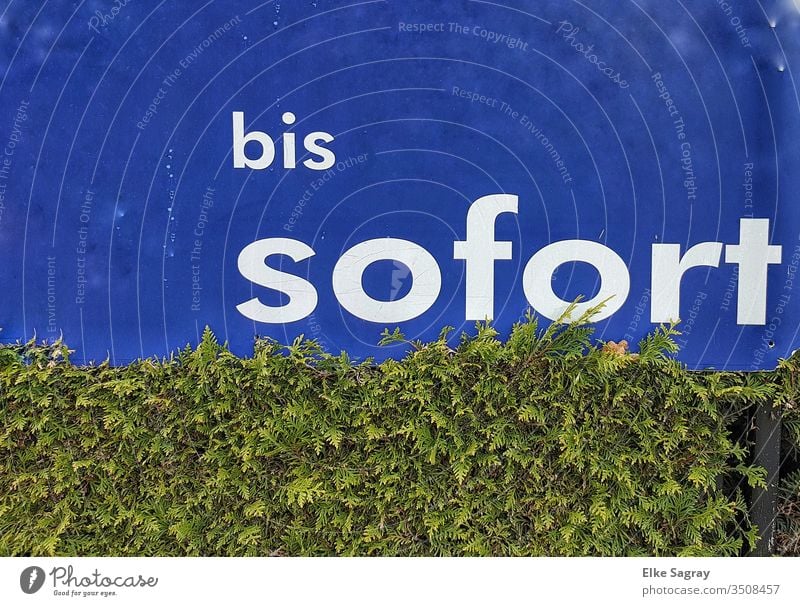 Bis sofort... Botschaft Farbfoto Schriftzeichen Mitteilung Information