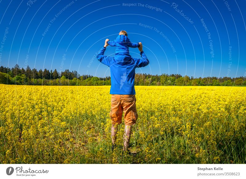 Vater und Sohn von hinten, blicken im Frühling über ein wunderschönes gelbes Rapsfeld, glückliche Familienszene einer Männereinheit. Natur Junge Mann Feld