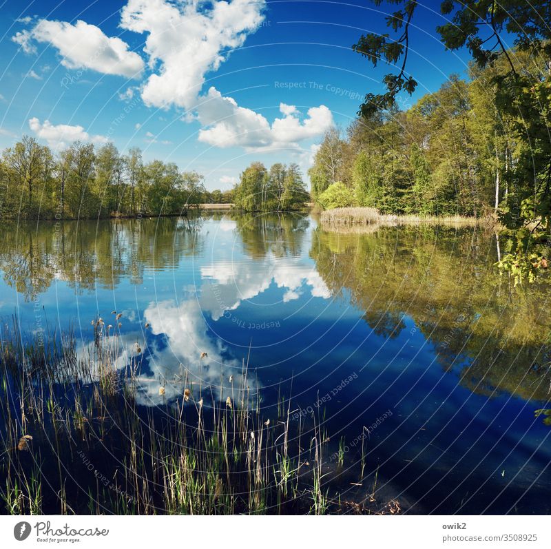 Frühling und draußen See Seeufer Wasser Wasseroberfläche Weite Windstille Natur Außenaufnahme Menschenleer Reflexion & Spiegelung Landschaft Farbfoto ruhig