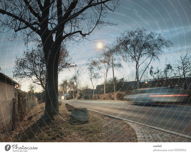 Rennpappe Straße Abend Mond Mondlicht Himmel Wolken Straßenrand Verkehr PKW Bewegungsunschärfe fahren schnell Geschwindigkeit Bäume Asphalt Gras Steine