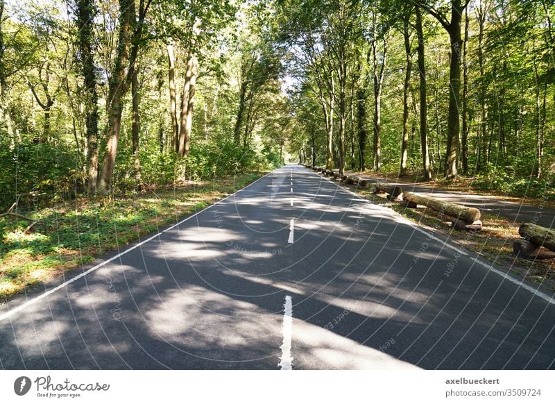 leere zweispurige Landstraße durch Wald Straße kein verkehr Verkehr reisen Eilenriede Hannover Waldgebiet Hintergrund Natur Fahrspur Landschaft Weg Asphalt