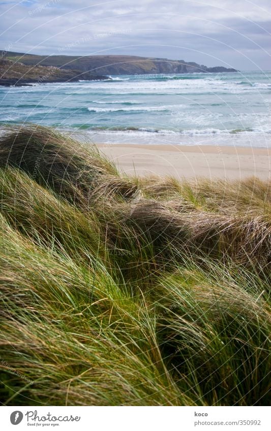 Über das Meer und über das Leben. Umwelt Natur Landschaft Urelemente Sand Luft Wasser Himmel Wolken Gewitterwolken Frühling Sommer Schönes Wetter