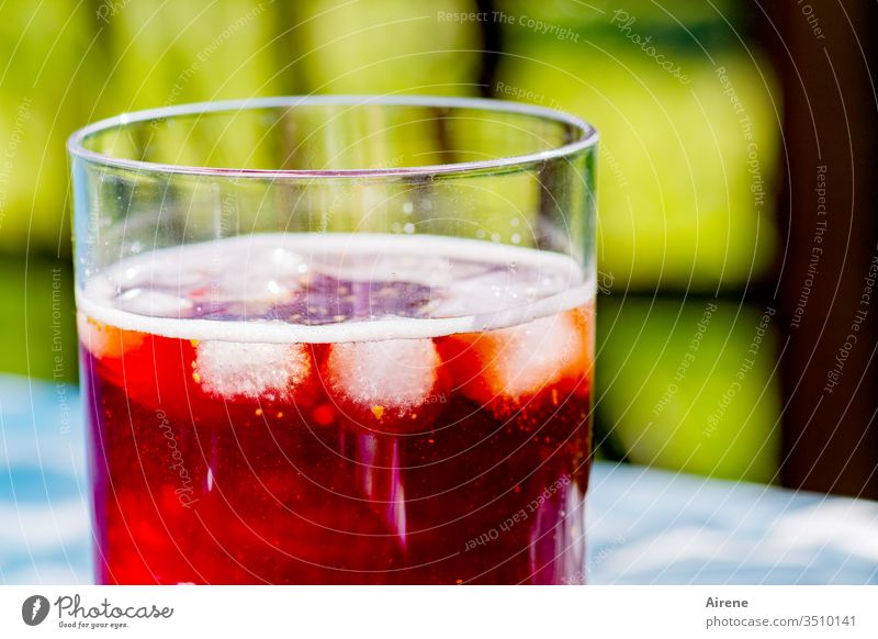 Cocktail noch ohne Cocktailstick Getränk Alkohol Aperitif trinken Erholung rot Negroni genießen Feste & Feiern Lebensfreude Erfrischungsgetränk Tag Menschenleer