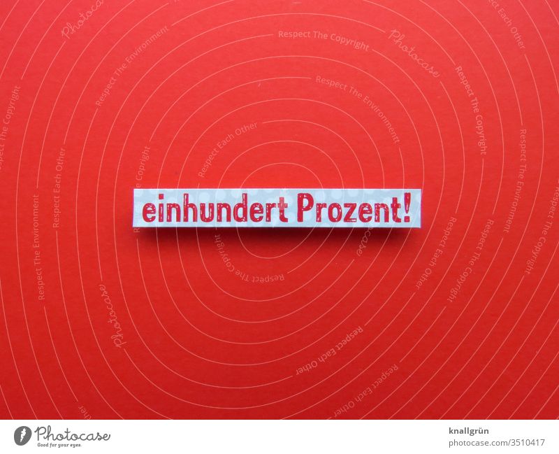 Einhundert Prozent absolut sicher zuverlässig 100 völlig Buchstaben Wort Satz Text Schriftzeichen Typographie Lateinisches Alphabet Letter Kommunikation Sprache