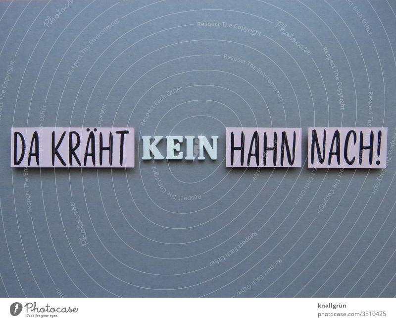 Da kräht kein Hahn nach! Redewendung unwichtig Kommunizieren egal Gefühle uninteressant Schilder & Markierungen Schriftzeichen Buchstaben Wort Satz Typographie