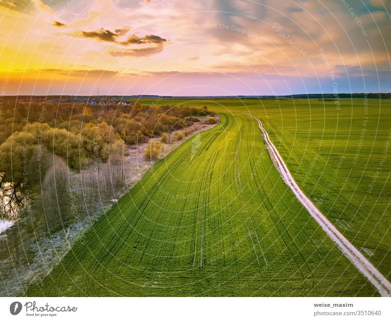 Ländlicher Feldweg durch frühlingsgrüne Felder. Ländliche Abendszene Ackerbau ländlich Pflanze Straße Weizen Frühling Schmutz Baum Fluss Antenne Dröhnen Wald