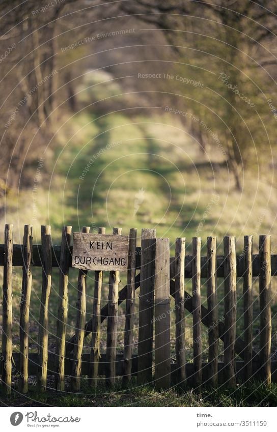 Geschichten vom Zaun (70) draußen natur baum verschlossen gesperrt naturschutzgebiet weg waldweg schild sonnenlicht sicherheit grenze sperre zaun