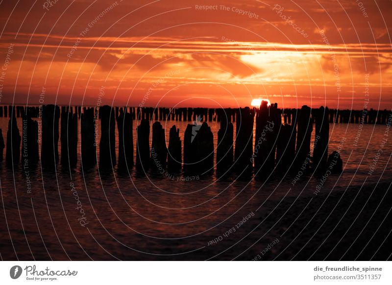 Sonnenaufgang an der Ostsee I Meer Wellenbrecher Himmel Dramatik Wasser Außenaufnahme Wolken Farbfoto Horizont Sonnenuntergang Dämmerung Strand Sommer Küste