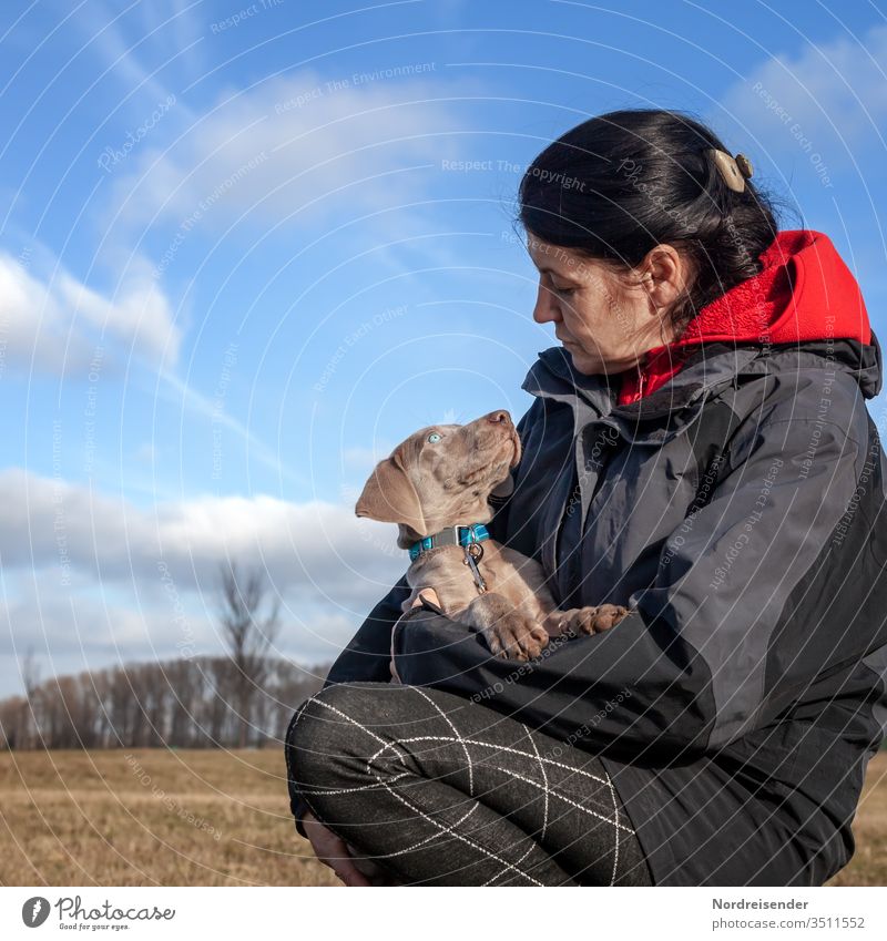 Tierliebe Welpe Frau Tierporträt Tag Außenaufnahme Farbfoto Puppy Weimaraner Geborgenheit Schutz Vertrauen Blick Freundlichkeit schön Zufriedenheit beobachten