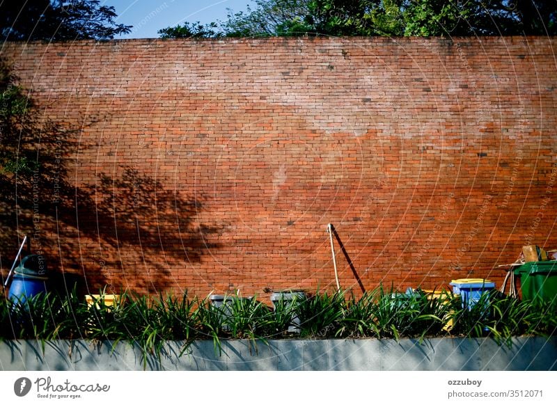 Kopie Raum Ziegelwand Mülleimer Textfreiraum Backsteinwand Wand Besen Umwelt Pflanze Schatten Reinigen im Freien Objektgruppe Tag sonnig nachhaltig