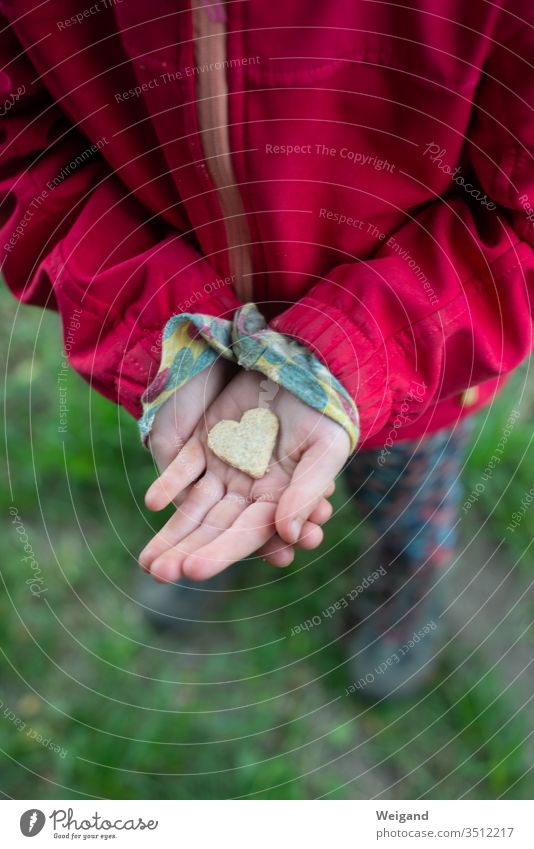 Herz für Muttertag Kind Hand Liebe Erziehung Familie & Verwandtschaft Geschwister Zuneigung Gefühle Fröhlichkeit Kindheit Außenaufnahme Textfreiraum rechts