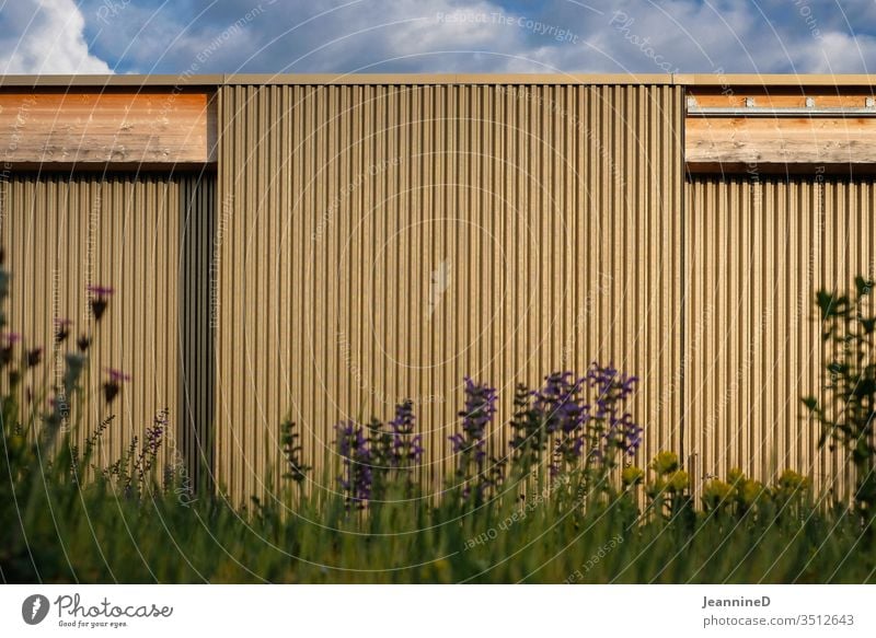 Goldige Wand einem Streifen von Blumen Architektur Gebäude Fassade Tag gold blau Außenaufnahme Menschenleer linear sonnenlicht angestrahlt Wolken Himmel Gräser