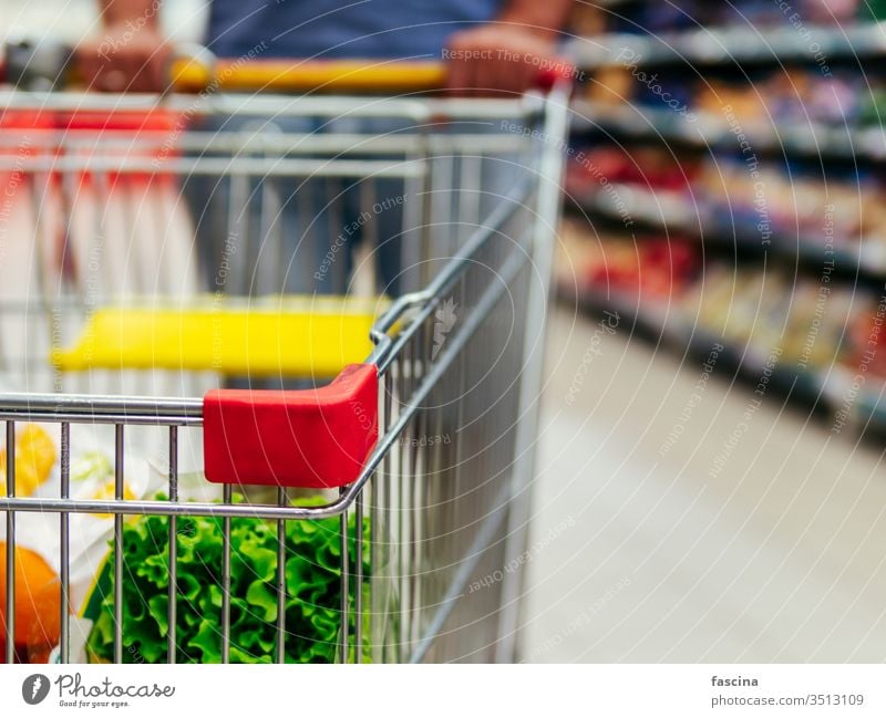 Einkaufswagen im Gang des Supermarkts, Kopierraum Handwagen Lebensmittelgeschäft Werkstatt Karre Mann Hände Latein Kaukasier Halt Laden Markt Einzelhandel Regal