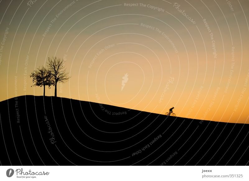 Das Fest ist aus … 1 Mensch Landschaft Himmel Wolkenloser Himmel Sonnenaufgang Sonnenuntergang Sommer Schönes Wetter Baum Hügel Berge u. Gebirge Mount Klotz