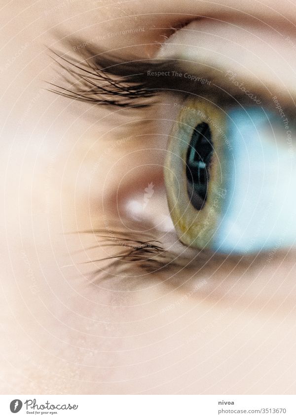 Jungenauge Kindheit Auge Wimpern grün blau Farbfoto Blick Haut Detailaufnahme Makro sensibel empfindliche Haut wachsam Wegsehen Gesicht Mensch 1 Kopf