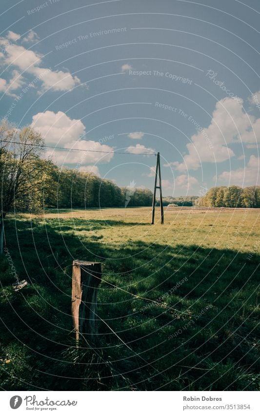 Telegrafenmast auf einem Feld Natur Gras Wiese Sommer Umwelt Mast Zaun Sonne Sonnenlicht Himmel Außenaufnahme Farbfoto Landschaft grün Menschenleer Wolken