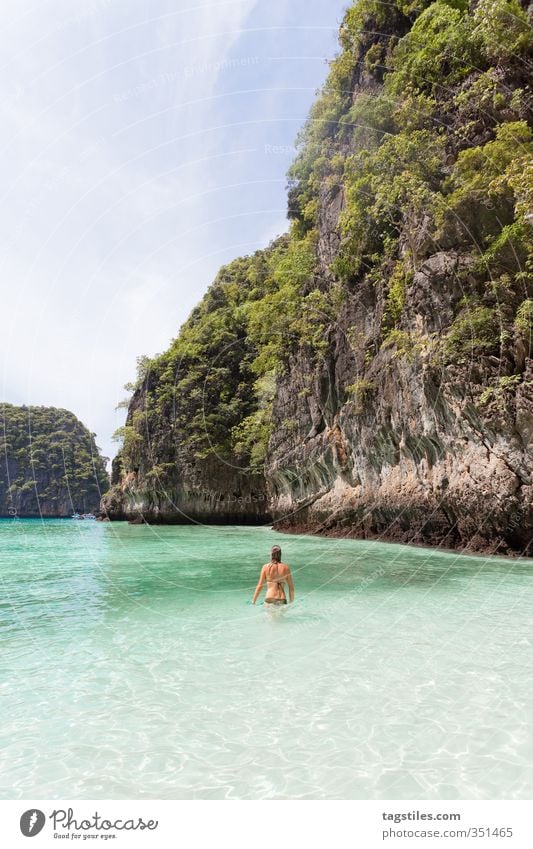 EINTAUCHEN Thailand Krabi Phi Phi island Ko Phi Phi Le Insel Strand Frau tauchen gehen Schwimmen & Baden Im Wasser treiben Schwimmsport Ferien & Urlaub & Reisen