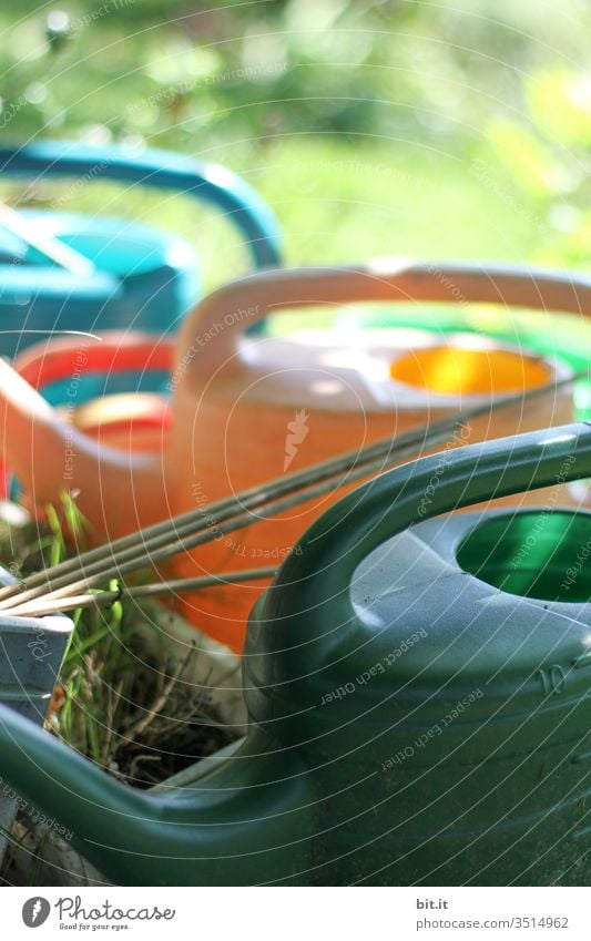 Viele bunte Gießkannen aus Plastik, stehen dekorativ und griffbereit, bereit zum Gießen, draussen in der grünen Wiese zuhause im Garten, im Frühling, Sommer. Beleuchtet vom Sonnenlicht, des schönen Wetters, ist der Ausschnitt schön und dekorativ.