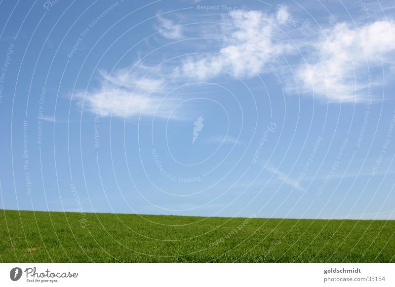 Weite Schwarzwald flach Wiese grün Hintergrundbild graphisch einfach Gras Wolken Berge u. Gebirge Himmel blau Rasen